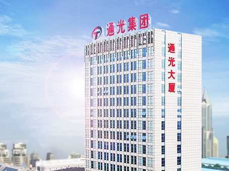 公司從事光纖光纜、裝備線纜、鋁合金電纜、電力導線、電力光纜、電氣控制設備等的研發、制造、銷售和電力能源綜合服務，現已發展成為集通信、電力、智能裝備為一體的多元化、全方位的現代化大型企業集團，躋身中國民企500強、中國電子信息企業100強、中國通信工業企業100強、中國光纖光纜最具競爭力企業10強。