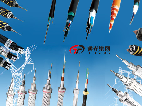 從事通信、電力、智能裝備等領域的研發、制造、銷售和電力能源綜合服務，提供全面解決方案。